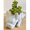 Doggy Planter | French Bulldog Planter Gift Idea, Bar Decor,