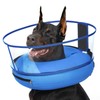 BARKLESS Dog Cone, Dog Donut Collar After Surgery, Inflatable Dog