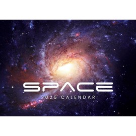 2025 Wall Calendar Monthly Planner Family Home Office Organiser A3 Month to View (Space)