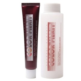 Welcos Hyundai Damaris Color Merit Part 1 60g + Part 2 60ml N2/E Natural Black / 웰코스 현대 다마리스 컬러 메리트 1제60g+2제60ml N2/E자연스런흑색