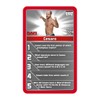 WWE Top Trumps Card Game