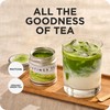 Tastings Tea Organic Matcha Tea - 15 Biodegradable Sachets |