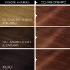 Garnier Olia Permanent Coloration and Dye