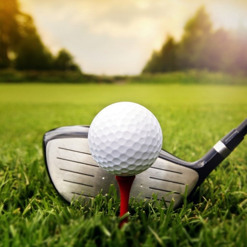 12 PCS/ Pack Dual Layer Tournament Golf Ball Training Practice