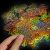 Holographic Christmas Transparent Animal Colorful Stickers(200 pcs)