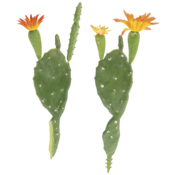 Prickly Pear Cactus Plant Green Plastic Set of 2