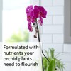 Miracle-Gro Ready-To-Use Orchid Plant Food Mist, 8 oz., Orchid Food