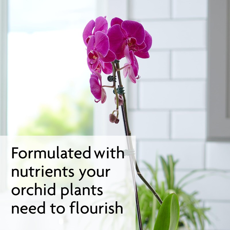 Miracle-Gro Ready-To-Use Orchid Plant Food Mist, 8 oz., Orchid Food