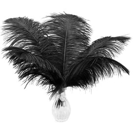 10 Pcs 10-12 inch (25-30cm) Ostrich Feathers, Natural Black Feathers for Home Wedding Table Decoration