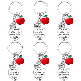 Waeceip 6PCs Teacher Keyring Teacher Gifts for Women Thank You Teacher Gifts for Teacher Appreciation Gifts Graduation Gifts Teachers Day Teacher Birthday Gifts (teach little minds)