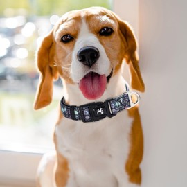 Reflective Dog Collar for Medium, Large & Extra Large Dogs - Soft Neoprene Padded, Adjustable Skull Design Stylish Gift pet Collars for Walking, Running (Skull M)