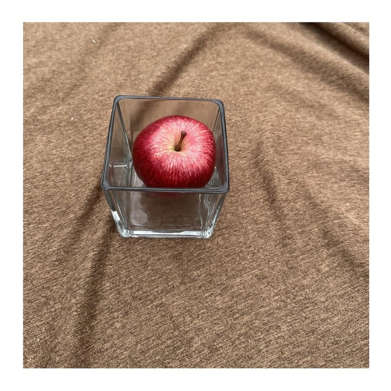 Decorative Glass Flower Vase, 4x4x4 inches, Square, Clear Centerpiece 2