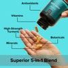 Joint Care Supplement | High Strength Curcumin from Turmeric with
