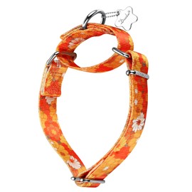 Dazzber Martingale Collar Dog Collar No Pull Pet Collar Heavy Duty Dog Martingale Collars Silky Soft with Unique Pattern for Medium and Large Dogs (Medium, 1 Inch Wide, Daisy)