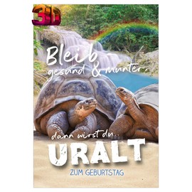 KE Funny Birthday Card with 3D Effect - Folding Card with 3D Surface, including Envelope - Greeting Card in DIN B6 Format - Design: Tortoises
