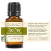 Tea Tree (Arbol de Te) - Aceite Esencial Puro 15