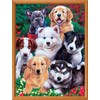 MasterPieces 300 Piece EZ Grip Jigsaw Puzzle - Fluffy Fuzzballs