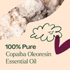 Plant Therapy Copaiba Oleoresin 10 mL (1/3 oz) 100% Pure,