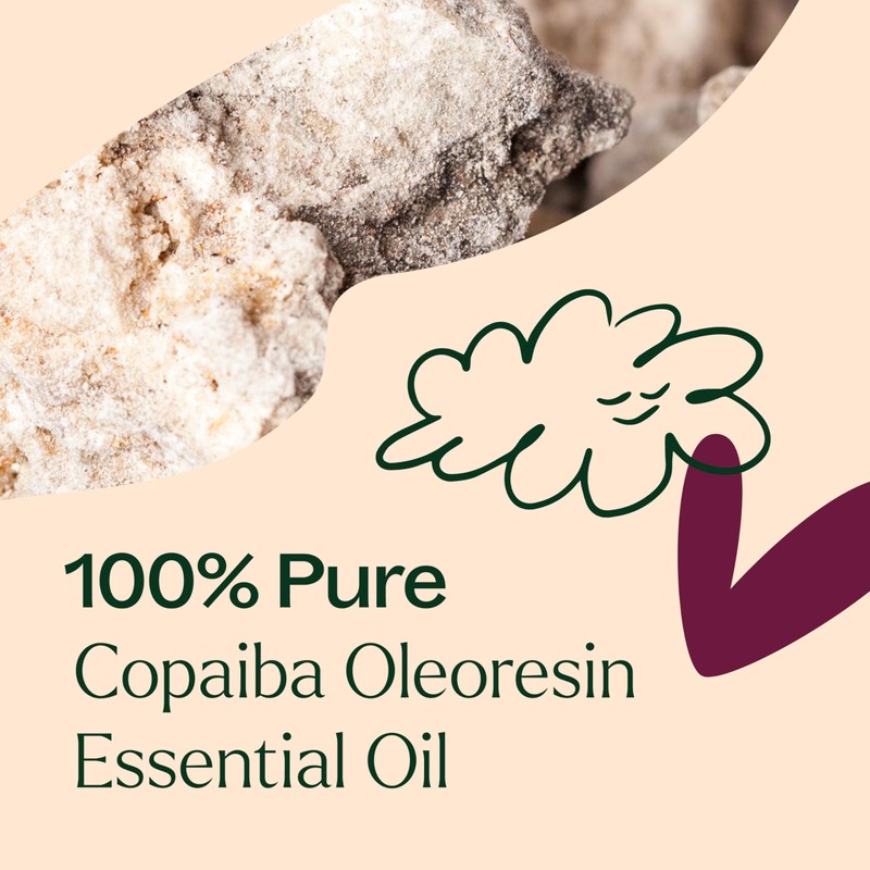 Plant Therapy Copaiba Oleoresin 10 mL (1/3 oz) 100% Pure,