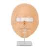 5D Silicone Makeup Practice Face Teaching Face Eye Cosmetic Mannequin