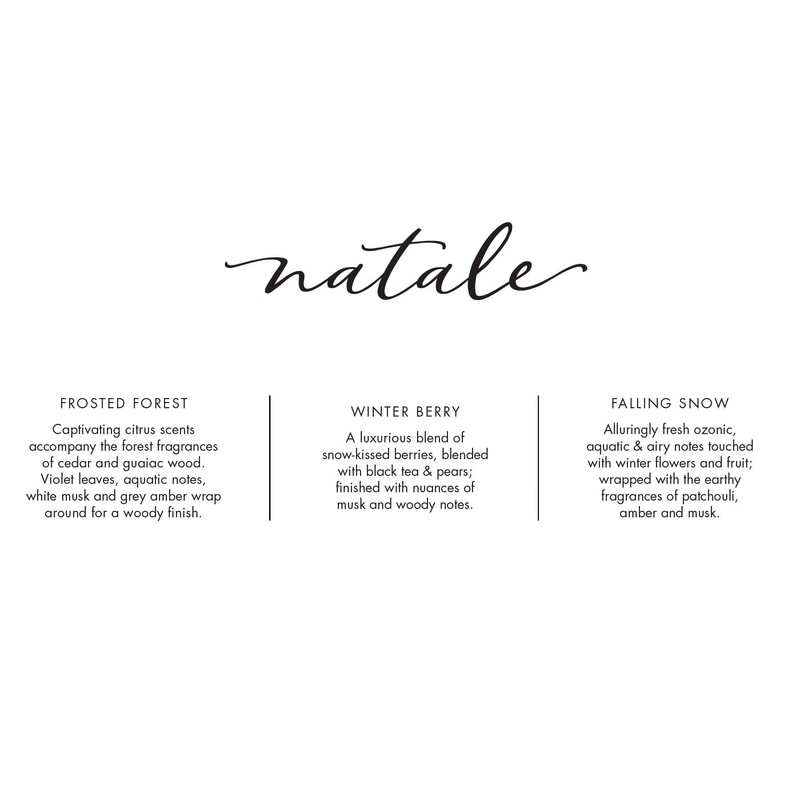 Via Mercato Natale Single Wick 3oz Fragrant Candle - Frosted