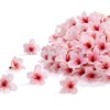 XIANNVXI Set di 100 teste di fiori di ciliegio artificiali