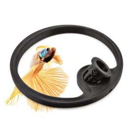 byMazy Betta Fish Feeding Ring | Floating Aquarium Portal with Worm Feeder Cone, Fish Tank Feeding Station (Black, SS)