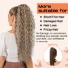 SEIKEA Highlight Drawstring Ponytail Extension, PT005 Isabella 26" Long Bohemian