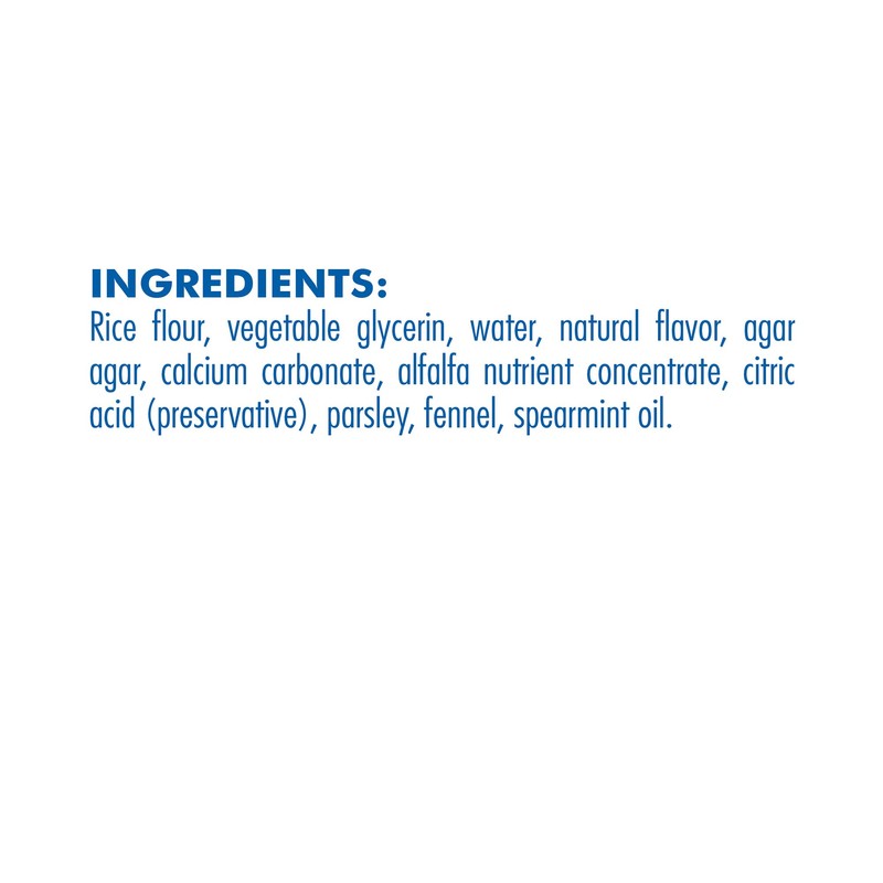 N-Bone FLOSSta Dual Action Dental Chews Mint Flavor, 6.4-oz bag