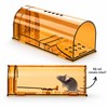 Reusable Live Catch Mouse Trap for Rodent Control – No-Kill