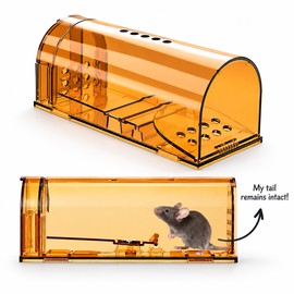Reusable Live Catch Mouse Trap for Rodent Control – No-Kill Cage Design for Home, Office & Garden Use