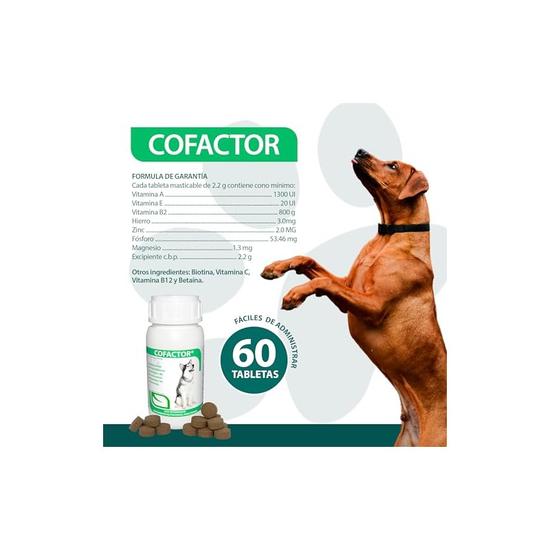 RUILAND Cofactor Suplemento Multivitamínico para Perros