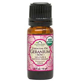 US Organic 100% Pure Rose Geranium Essential Oil (Sourced from South Africa) - USDA Certified Organic, Steam Distilled (10 ml)