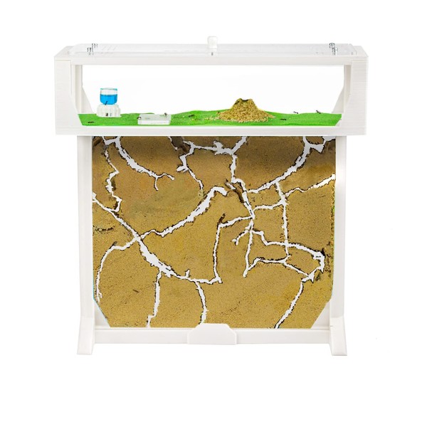 AntHouse - Natural sand ant farm - T 3D Set BIG 25x20x1 - 5 cm White