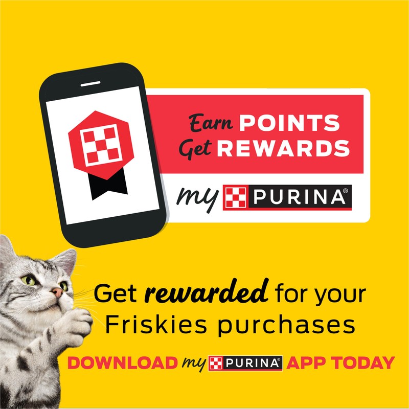 Purina Friskies Wet Cat Food Variety Pack, Tasty Treasures Prime