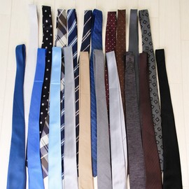 Shinkohanger Monoclosette Tie Hanger Cloth Hanger, Great