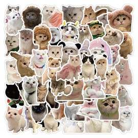 60Pcs Cute Cats Stickers, Funny Cat Meme Waterproof Vinyl Stickers Decals for Laptop Water Bottle Phone Luggage Skateboard Bicycle, Sticker Kids Teens Boys Girls and Adults