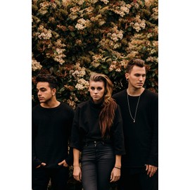 pvris 12 x 14 inch poster sscreation