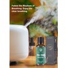 RythParfum Tea Tree Essential Oilwith Dropper(1 oz)