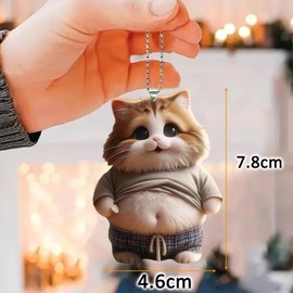 KVKIE Cat Key Holder, 1 Piece Funny Cute Fat Cat Goods, Acrylic Key Holder, Laughing Cat, Mascot, Keychain, Keychain, Car Backpack, etc. Can be hung for decoration, Orange color