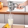 Orange Pomegranate Lemon Squeezer,Manual Citrus Press,Ergonomic Handles Hand Press Bar(Silver)