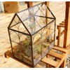 ELEGANTLIFE Glass Geometric Plant Terrarium,Succulent & Air Planter for Home