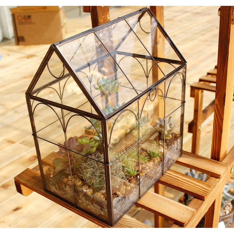 ELEGANTLIFE Glass Geometric Plant Terrarium,Succulent & Air Planter for Home