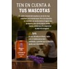 OLEUM VITAE Aceite Esencial de Lavanda. Lavandula Angustifolia. 100% Puro