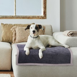 PiccoCasa Dog Blanket Washable, Fleece Puppy Blankets Soft and Warm for Pets Flannel Bed Cover Slate Grey 60cm x 80cm