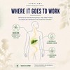Milk Thistle Capsules 12,500mg Equivalent | Standardised to 80% Silymarin