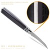 Kessaku 2.75-Inch Bird's Beak Tourne Paring Knife - Ronin Series