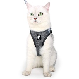 Evel Cat Harness and Leash, Ultra-Light, Escape-Proof, Adjustable, Soft Mesh Fabric, Padded, Running Vest, Jacket for Kittens, Pets, Puppies, m, New Grey