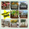 XXXFLOWER Plant Terrarium with Wooden Stand, Air Planter Bulb Glass