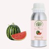 RADANYA Ayurveda RADANYA Ayurveda Watermelon Carrier Oil 100% Pure &